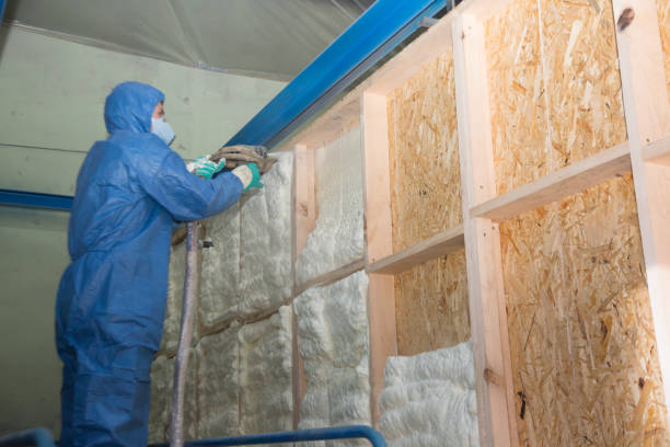 Best Local Insulation Services  in Elizabeth, CO